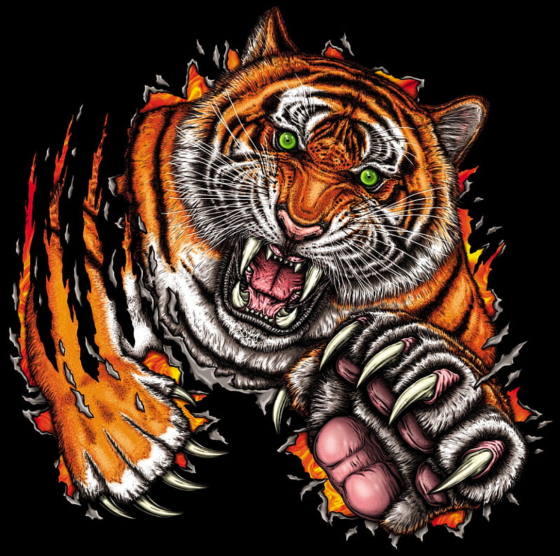 tiger, grin, jump, predator, art, HD wallpaper