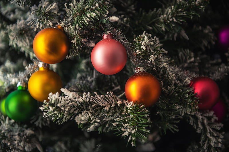 green pine tree with red and yellow baubles, HD wallpaper