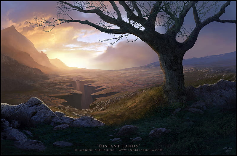 Distant Lands, sunset, tree, rock, stone, HD wallpaper