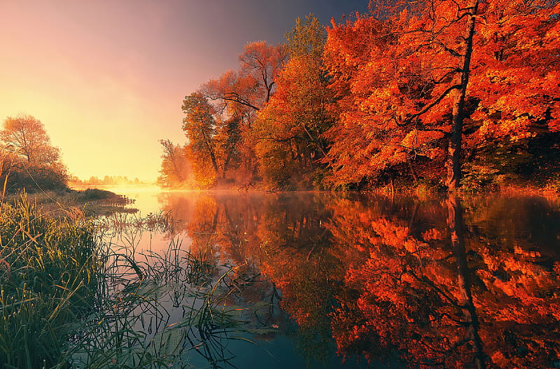 50 Beautiful Fall Pictures and Images - Parade