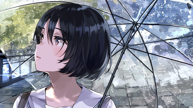 anime girl, raining, transparent umbrella, short black hair, looking away, Anime, HD wallpaper