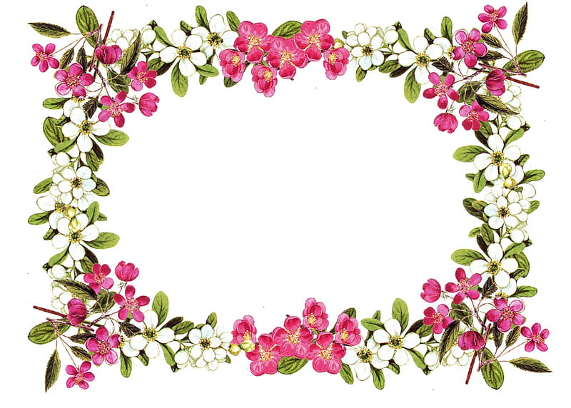 Floral frame, blossom, green, frame, spring, white, pink, floral, card, HD wallpaper