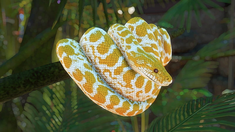 Yellow White Python Snake On Tree Branch Animals, HD wallpaper