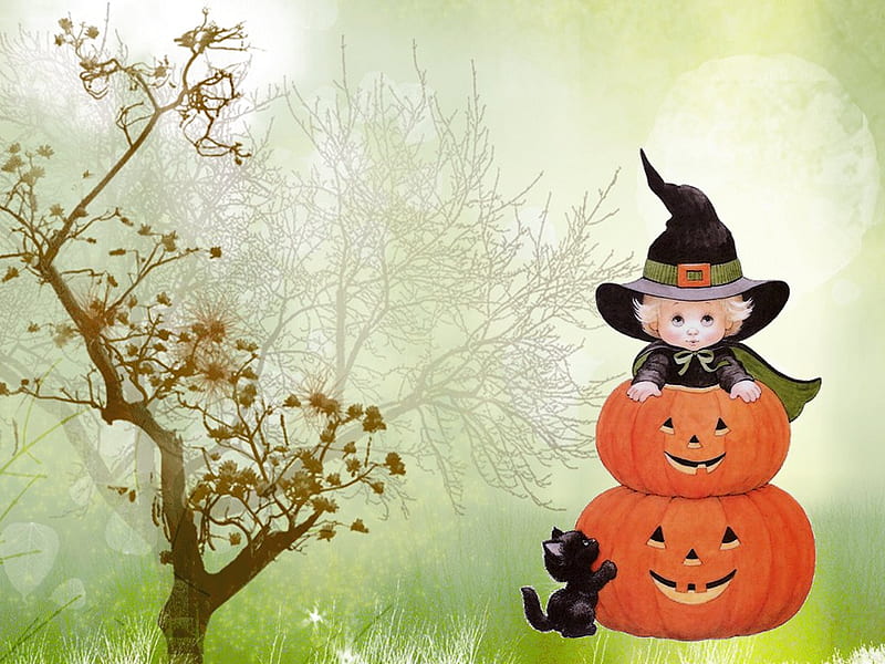 Halloween is here!!!!!!, october 31, cute, witch, halloween, pumpkin, cat, HD wallpaper