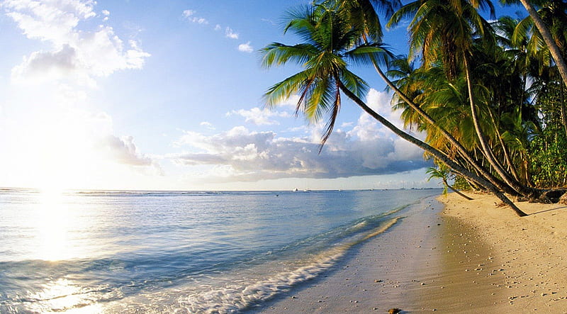 SUNSET, TRINIDAD & TOBAGO, ocean, sunset, trees, palms, beach, sand, water, landscapes, island, HD wallpaper