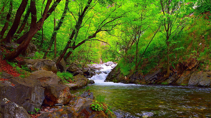 Waterfall Stream Stone Rocks River Between Green Trees Forest Background Nature, HD wallpaper