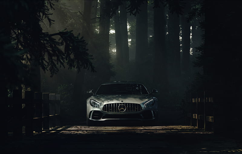Mercedes Benz Amg GT Forest, mercedes-amg-gtr, mercedes, carros, 2018-cars, behance, HD wallpaper