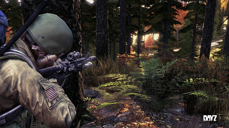 DayZ, survival, open world, shooter, video game, game, PC, FPS, gaming, HD wallpaper