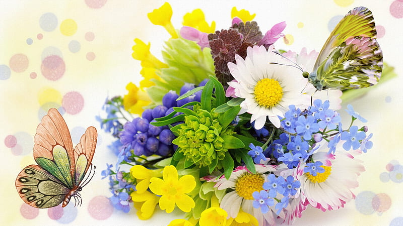 Colorful Display, colorful, firefox persona, butterflies, daisies ...