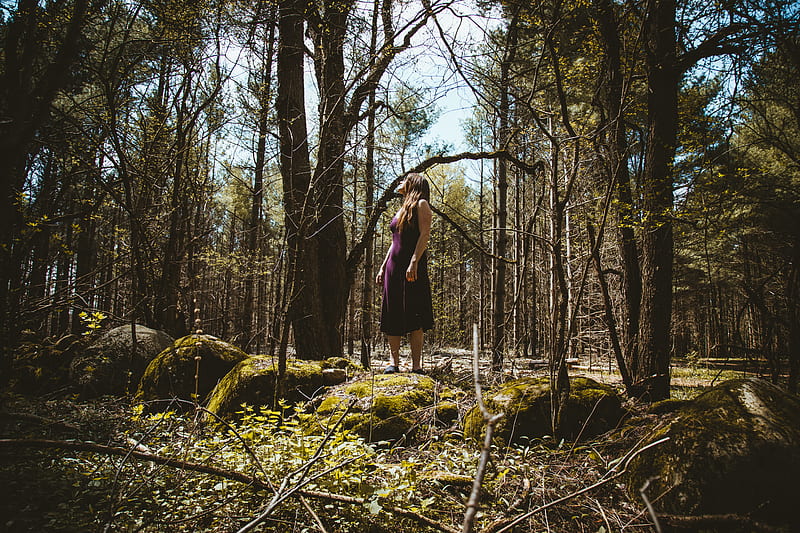woman in purple sleeveless dress standing in forest, HD wallpaper