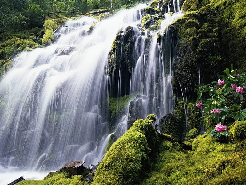 Great Waterfall, grass, mount, bonito, waterfall, flowers, beauty, nature, great, hill, field, HD wallpaper