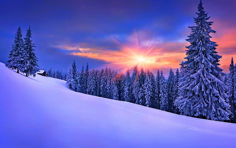 Beautiful Winter ***, forest, nature, snow, winter, HD wallpaper | Peakpx