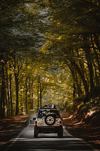 Car, suv, road, forest, travel, HD phone wallpaper | Peakpx
