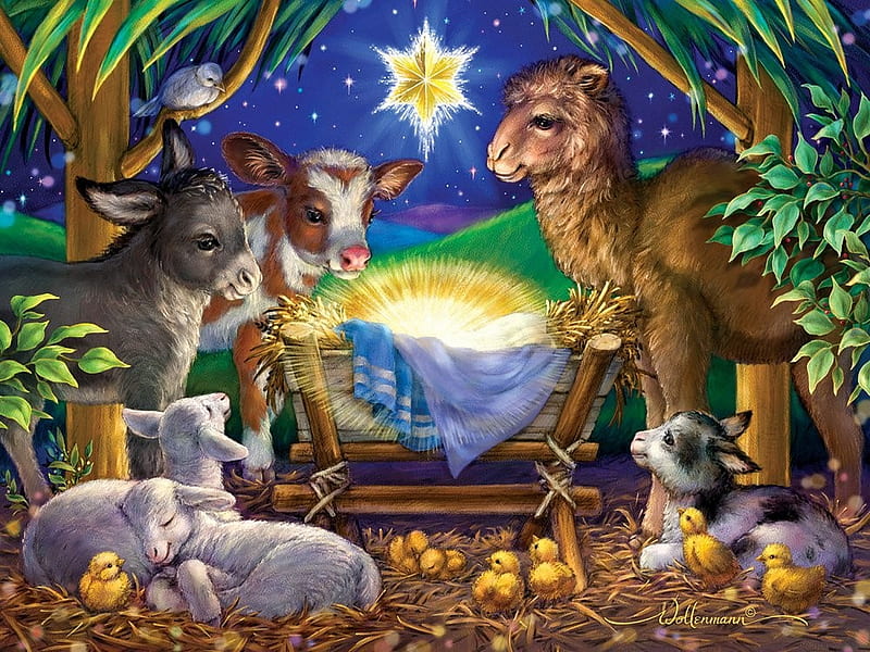 A Child is Born, chicken, donkey, sheep, cow, painting, artwork, star, HD wallpaper