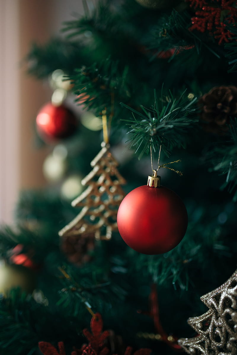 Christmas tree, decoration, holiday, new year, christmas, HD phone ...