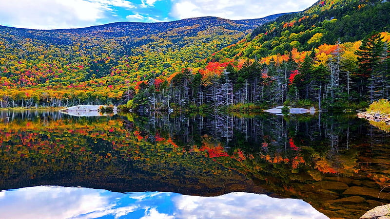 Reflections of foliage in the White Mountains, New Hampshire, leaves, fall, clouds, trees, colors, sky, water, lake, autumn, HD wallpaper