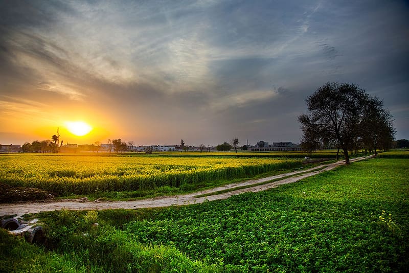 Landscape, Nature, Sunset, , Field, Farm, , Countryside, Pakistan, HD wallpaper
