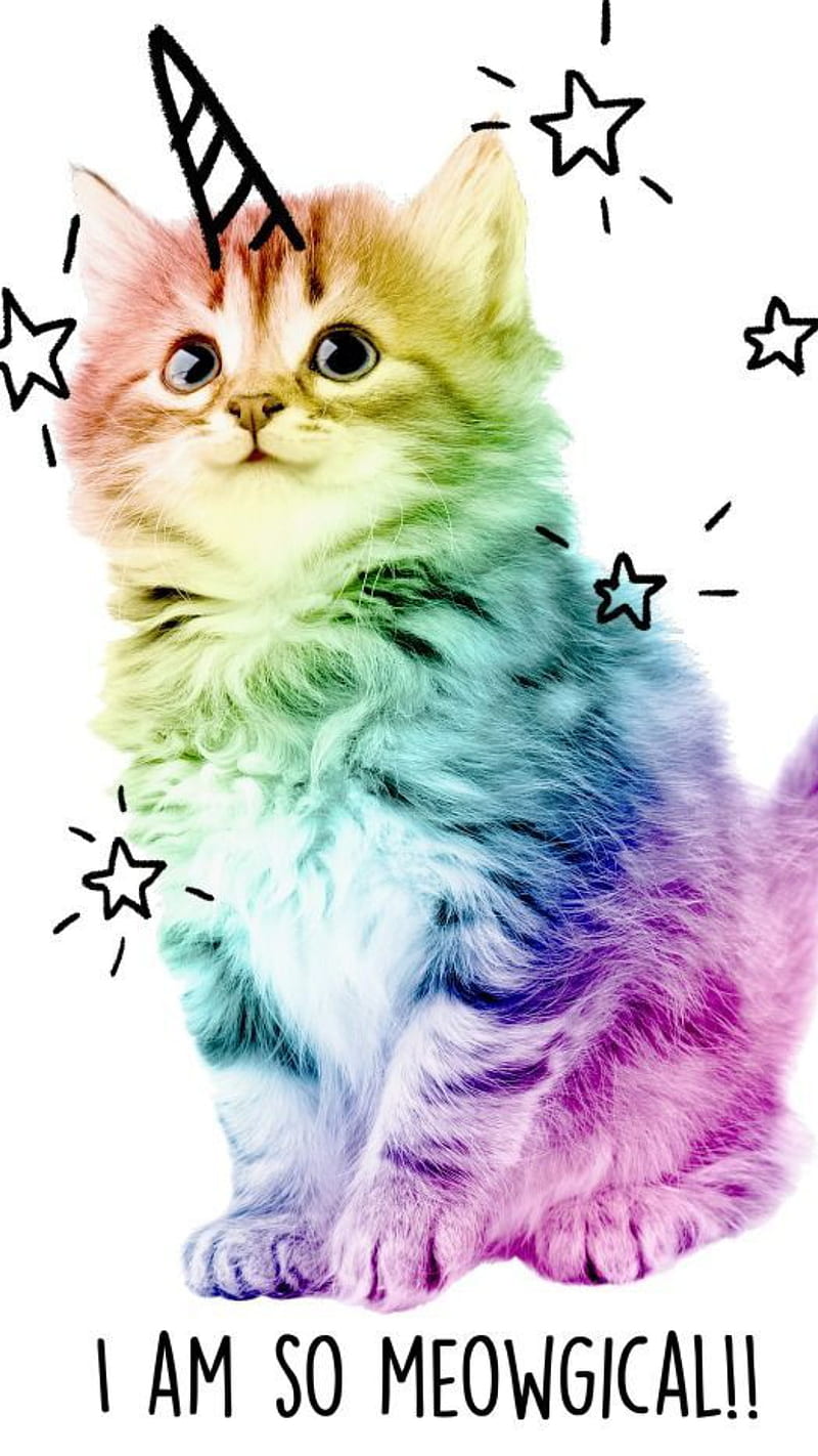 Kitten, cat, colour, colourful, kittens, magic, stars, unicorn, HD phone wallpaper