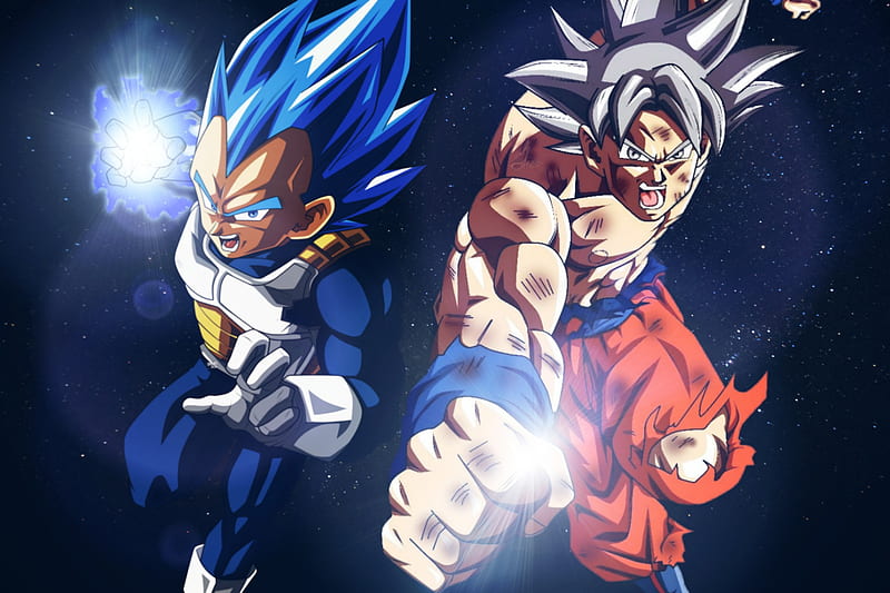 Ultra Instinct Goku VS Super Saiyan Blue Evolution Vegeta