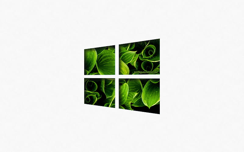Windows 10, green eco logo, emblem, creative art, Windows, logo, green leaves, white background, HD wallpaper