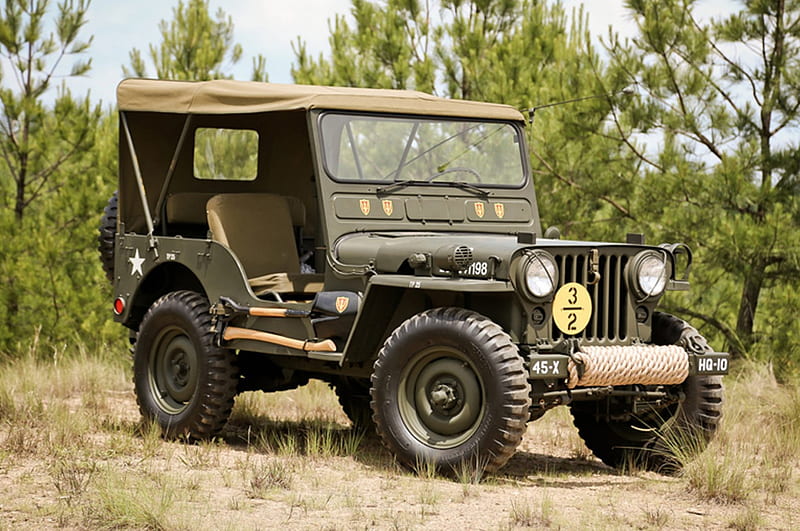 Wiley jeep, wiley, military, tree, jeep, HD wallpaper | Peakpx