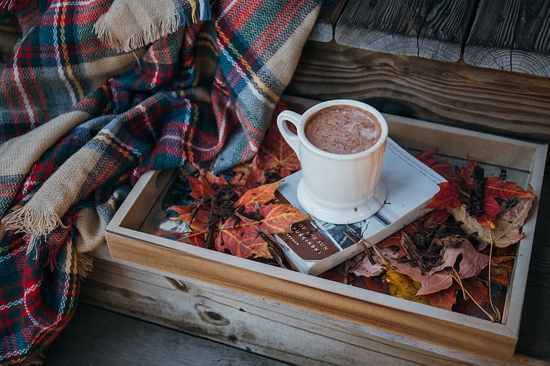 coffee, cocoa, cup, book, leaves, plaid, autumn, HD wallpaper