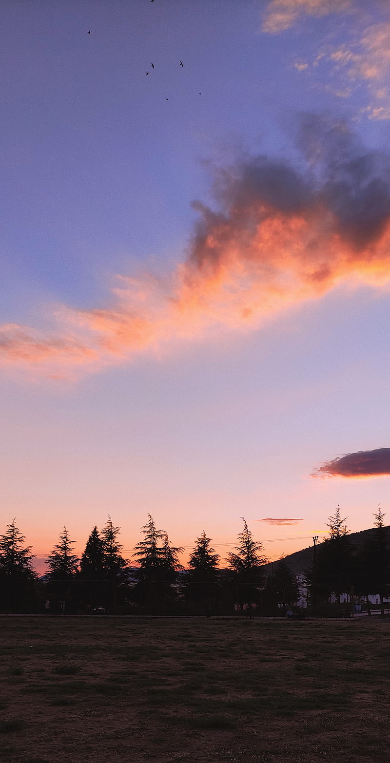 Aesthetic sunset, #clouds, #sunset, #aesthetics, #vintage, #background,  #sky, HD phone wallpaper | Peakpx