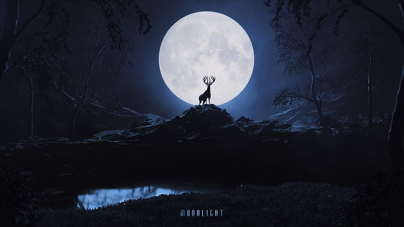 Moonlight, cerb, luminos, moon, black, silhouette, deer, fantasy, moon, white, blue, HD wallpaper