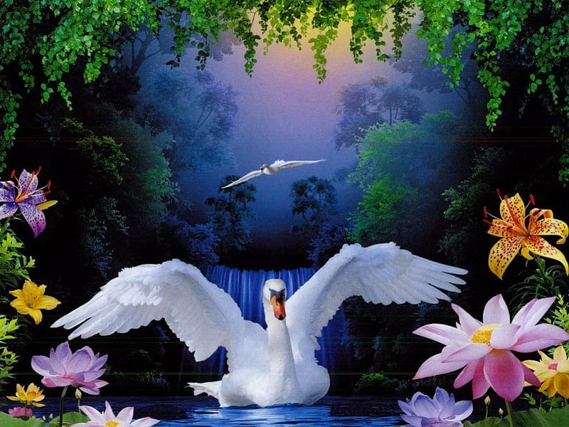 Swan paradise, pretty, dusk, bonito, magic, swan, mirrored, nice, fantasy, waterfall, flowers, beauty, reflection, light, night, art, lovely, lilies, trees, lake, pond, water, paradise, HD wallpaper