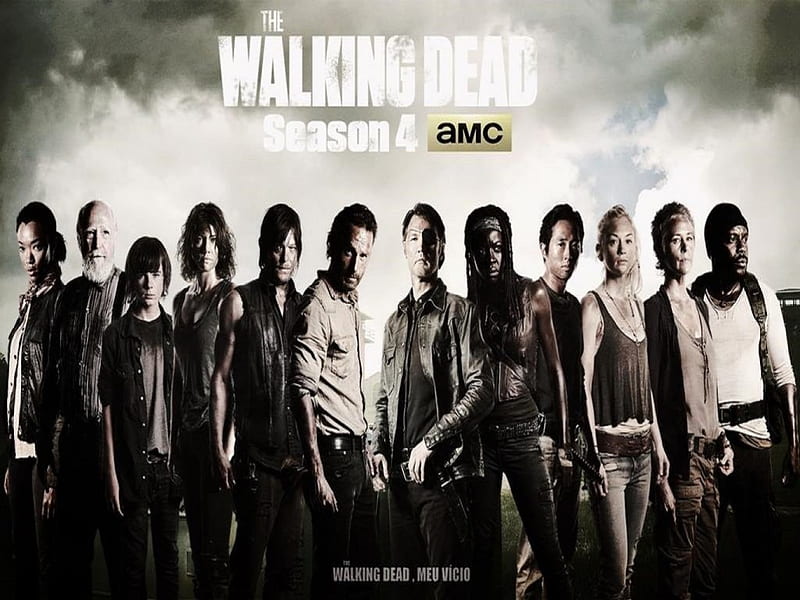 AMC's The Walking Dead, Hershel, Glenn, Michonne, Carol, The Walking Dead, Daryl, Carl, Rick, Maggie, Sasha, entertainment, TV series, Gov, Beth, Tyreese, HD wallpaper