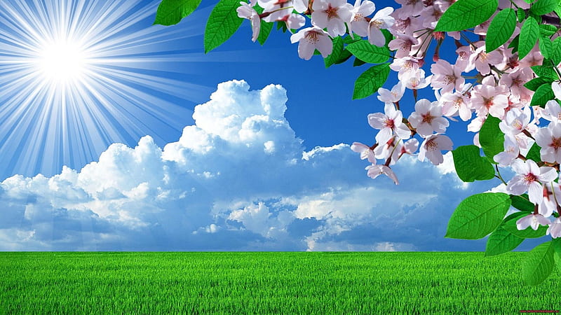 Sunny Spring, rays, flowers, sunny, nature, spring, clouds, greenfield, lights, HD wallpaper