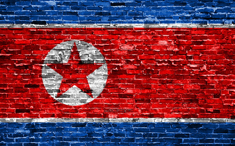North Korean flag, bricks texture, Asia, national symbols, Flag of North Korea, brickwall, North Korea 3D flag, Asian countries, North Korea, HD wallpaper