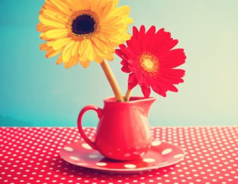 Vintage, gerbera, flores, suavidad, Fondo de pantalla HD | Peakpx