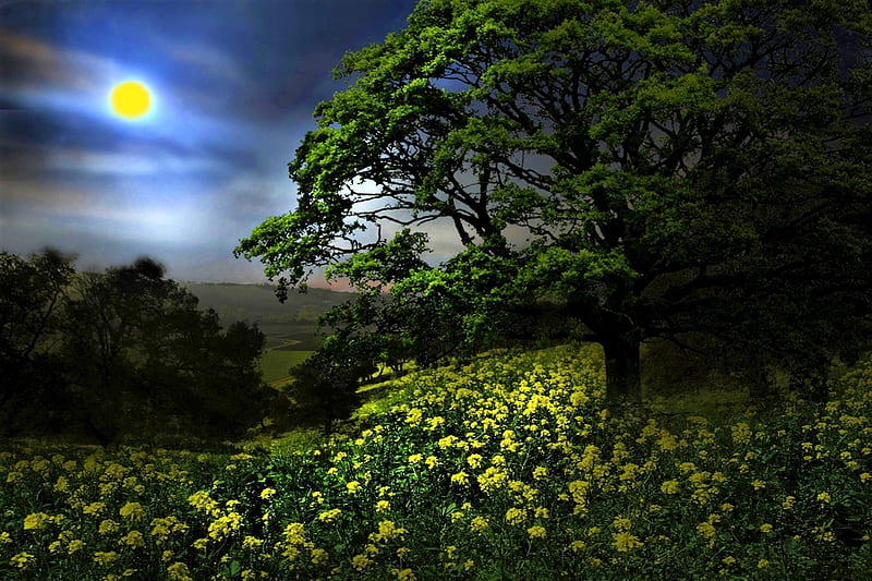 spring evening, evening, moon, trees, meadow, HD wallpaper