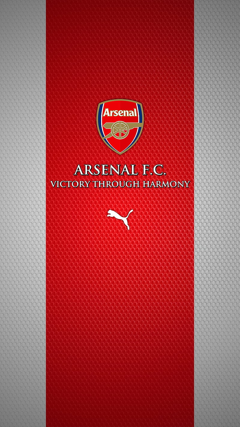 Arsenal fc, club, england, football, gunners, logo, soccer, HD phone wallpaper