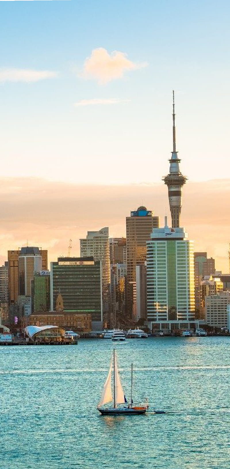 Auckland city, HD phone wallpaper | Peakpx