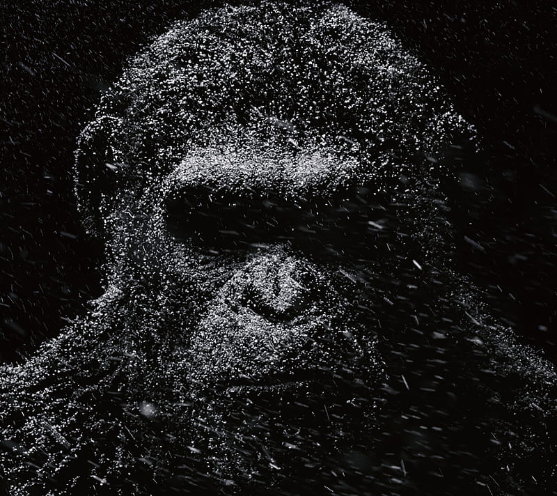 Caesar, ape, HD wallpaper