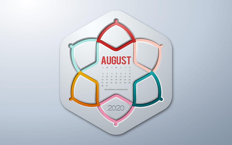 2020 August Calendar, infographics style, August, 2020 summer calendars, gray background, August 2020 Calendar, 2020 concepts, HD wallpaper