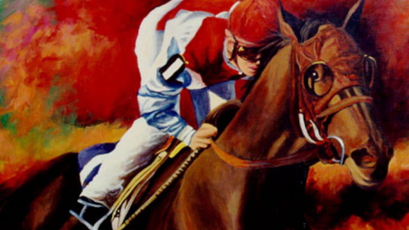 Horse Race, jockey, throughbred, nature, animals, brown horse, race horse, HD wallpaper