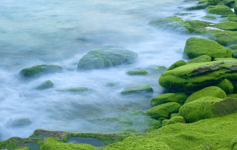 Misty Ocean, moist, rocks, ocean, smooth, mist, water, green, day, nature, HD wallpaper