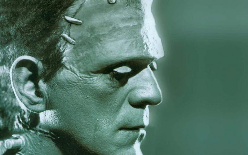 Frankenstein, mary shelley, boris karloff, frankensteins monster, bela lugosi, monster, HD wallpaper