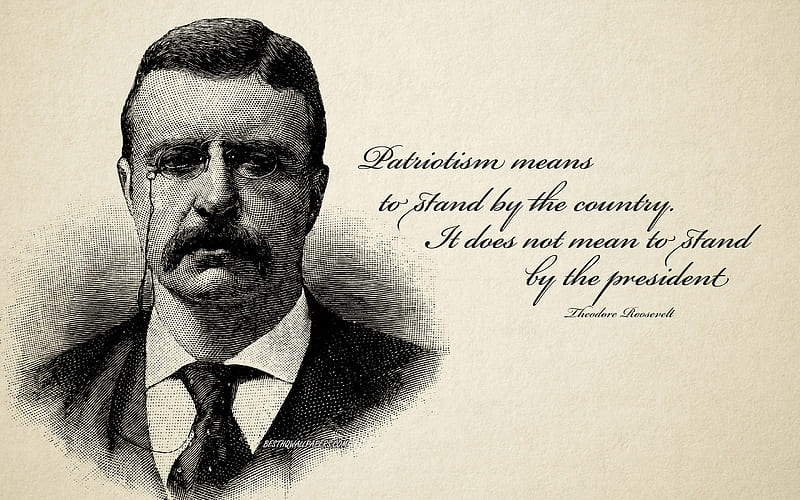 Patriotism means to stand by the country It does not mean to stand by the president, Theodore Roosevelt quotes, portrait, patriotism quotes, retro style, HD wallpaper