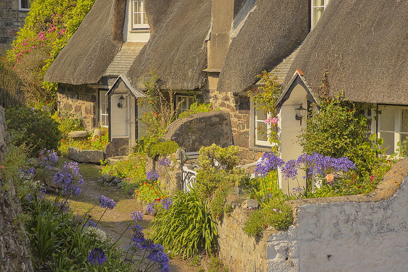 Man Made, Cottage, Cornwall, England, House, HD wallpaper