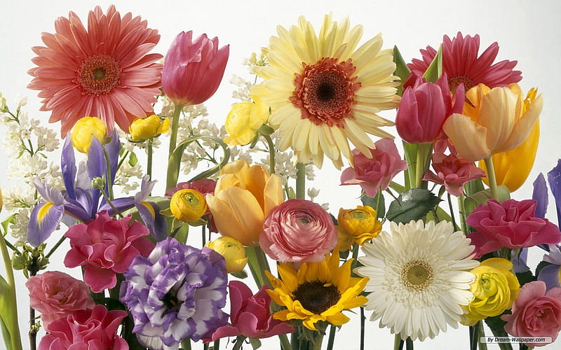 Pretty Boquet, pretty, assortment, flowers, boquet, HD wallpaper