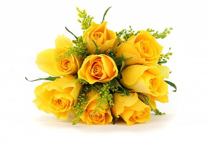 Yellow rose bouquet, bouquet, rose, flower, yellow, white, HD wallpaper