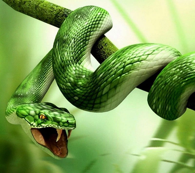 Snake , animal, dangerous, forest, green, jungle, tree, trees, wild, HD wallpaper