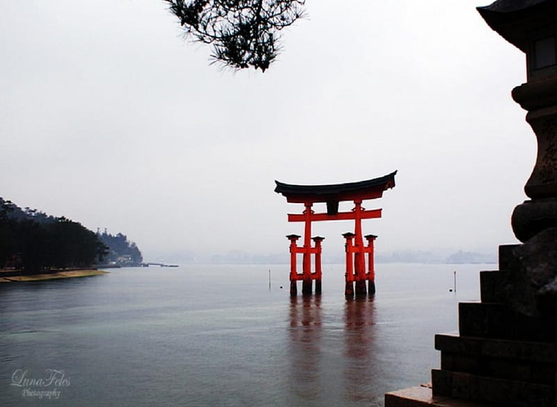 Akai Torii, red, japan, torii, japanese, ocean, nature, scenery, HD wallpaper