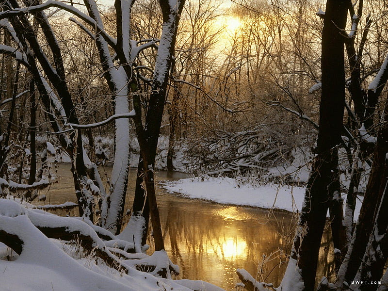 Mistic Winter - Harpeth River, Tennessee, snow forest, forest, williamson county, sun, trees, sauble river, winter, awesome mystic river, tennessee, water, harpeth river, snow, river, sunrise, HD wallpaper