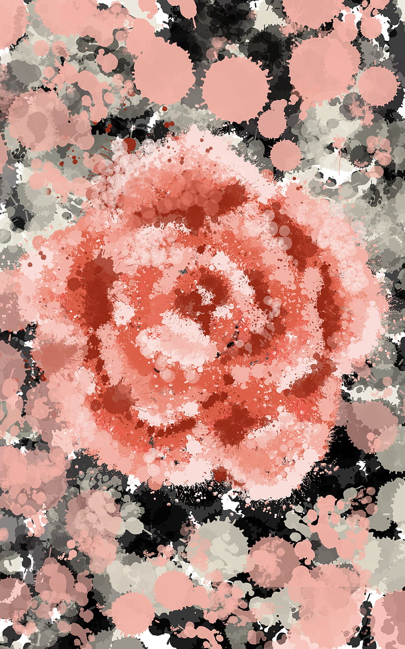 Rosey, abstract, blossom, blossoms, flower, paint, pretty, rose, HD