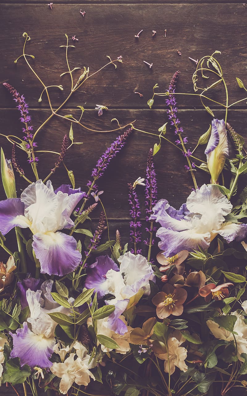 irises, flowers, petals, purple, HD phone wallpaper